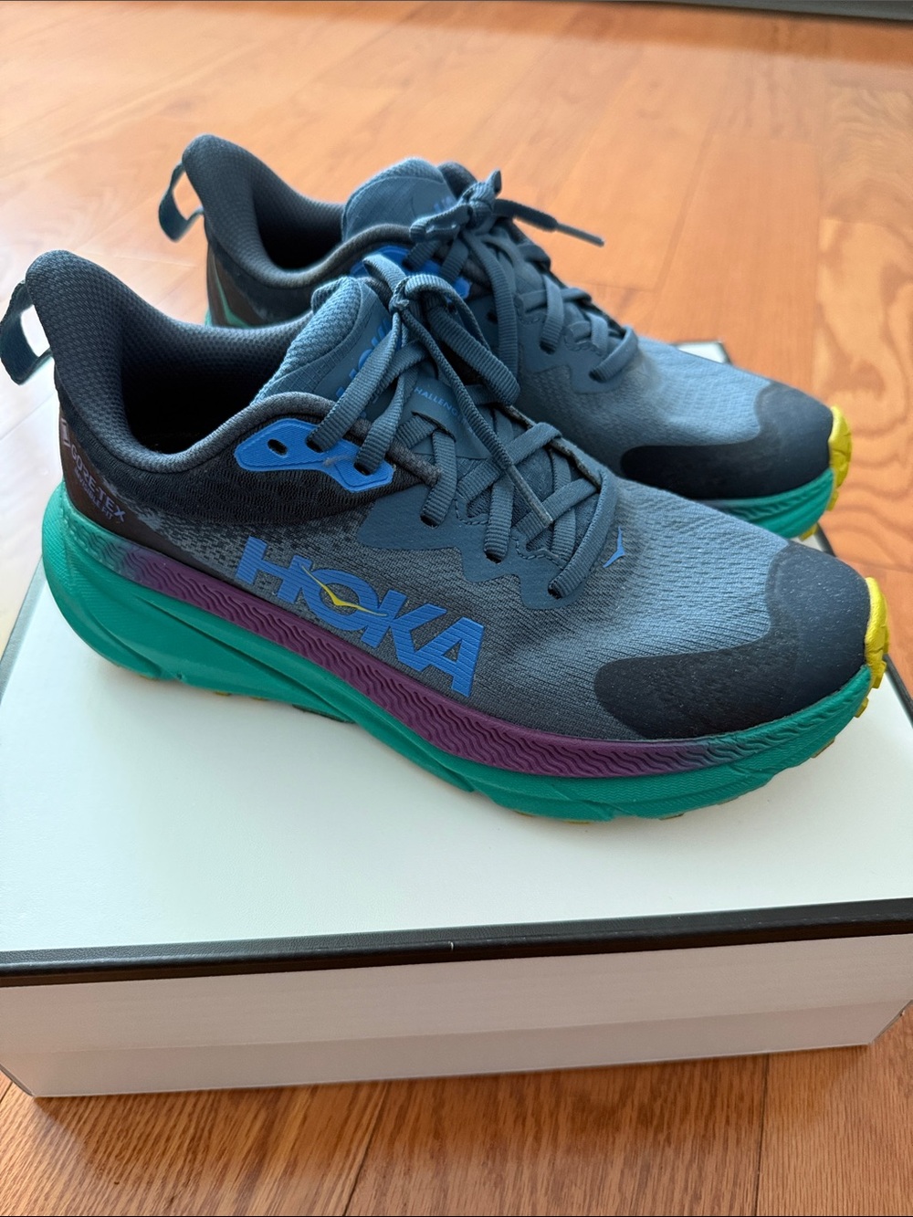 Hoka sneakers